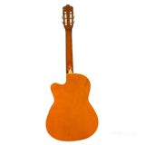 Đàn Guitar Classic Grape EC-309C