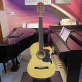 Đàn Guitar Classic Grape EC-309C