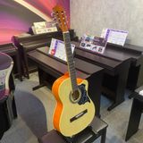 Đàn Guitar Classic Grape EC-309C
