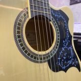 Đàn Guitar Classic Grape EC-309C