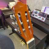 Đàn Guitar Classic Grape EC-309C