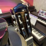 Đàn Guitar Classic Grape EC-309C