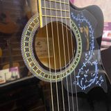 Đàn Guitar Classic Grape EC-309C