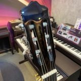Đàn Guitar Classic Grape EC-309