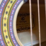 Đàn Guitar Classic Grape GP-C40