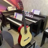 Đàn Guitar Classic Grape GP-C40C