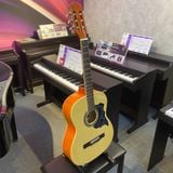 Đàn Guitar Classic Grape EC-309