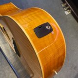 Đàn Guitar Acoustic Eplay Maple Tích Hợp EQ
