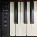Piano Điện Yamaha YDP-162