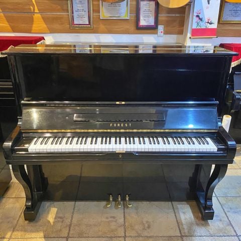 Đàn Piano Upright Forest FU55