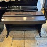 Đàn Piano Điện Casio VJ-201