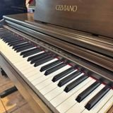 Đàn Piano Điện Casio VJ-201