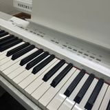 Đàn Piano Điện Yamaha P-105WH