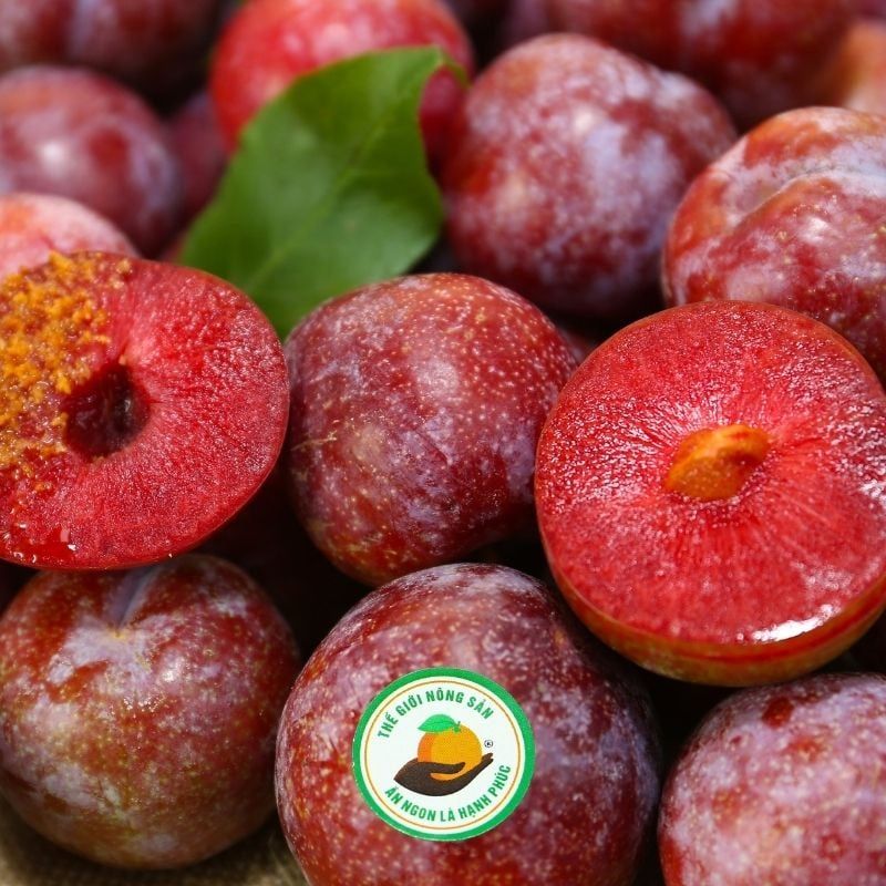 Mận Mộc Châu VIETGAP 18-25 – Thế Giới Nông Sản