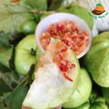 Ổi Nữ Hoàng