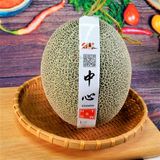 Dưa lưới Ichiba giống Nhật