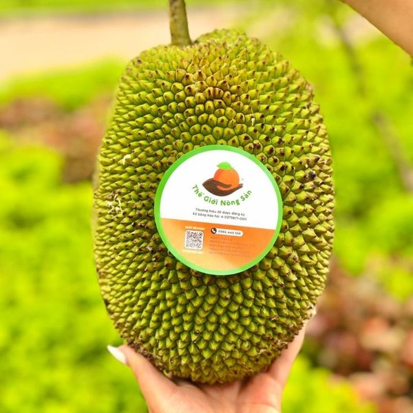 Mít Tố Nữ