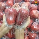 Roi An Phước Vip Xuất Khẩu