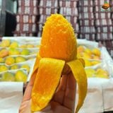 Xoài Cát Thơm Nha Trang
