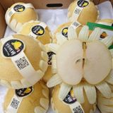 Lê Sữa Hàn Quốc Size 32