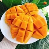 Xoài cát chu Chú Chín