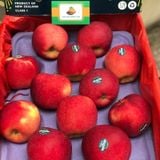 Táo Dazzle Premium (>280g/quả)