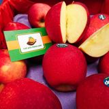 Táo Dazzle Premium (>280g/quả)