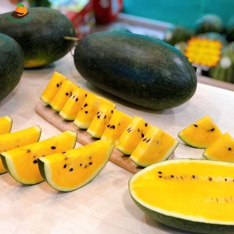  Dưa Hấu Ruột Vàng 