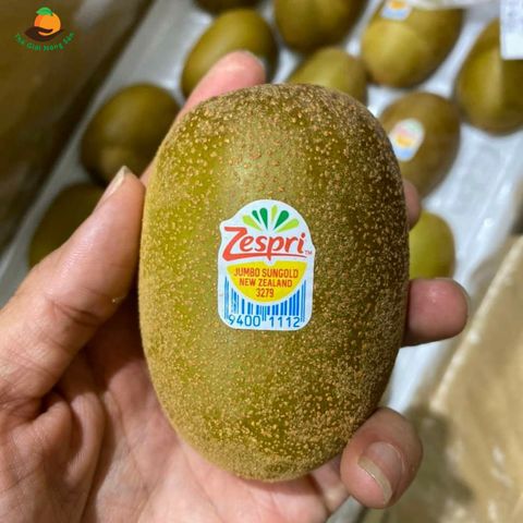  Kiwi Sungold Zespri Jumbo 