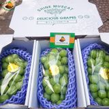 Nho Sữa Hàn Quốc