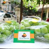 Nho Sữa Hàn Quốc