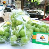 Nho Sữa Hàn Quốc