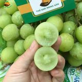 Nho Xanh Autumn Crip USA