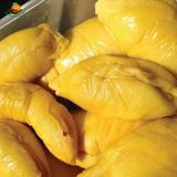 Sầu Riêng Musang King