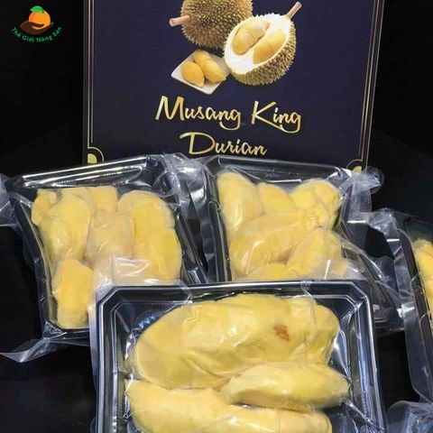  Sầu Riêng Musang King 