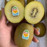 Kiwi Sungold Zepsri Pháp Size 25