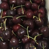 Cherry NZ LANI Size 28+