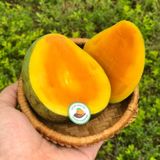 Xoài Trứng Yên Châu