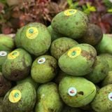 Xoài Trứng Yên Châu