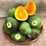 Xoài Trứng Yên Châu