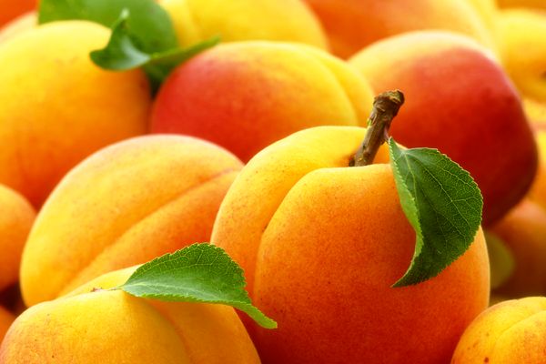 Fruits/Tropical Fruits/ Citrus