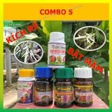  COMBO 5 - KÍCH RỄ, BẬT MẦM 