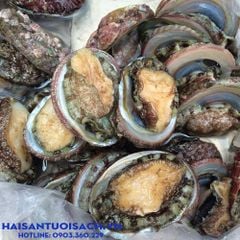 bao ngu han quoc size 10 15 con kg