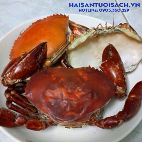CUA TƯƠI