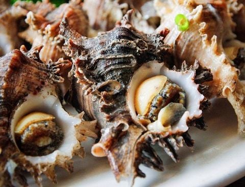ỐC NGON