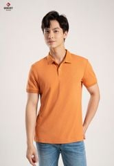 Áo Polo Cộc Tay Nam
