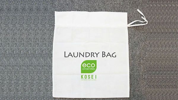  May túi giặt là vải không dệt theo yêu cầu - BL24192 
