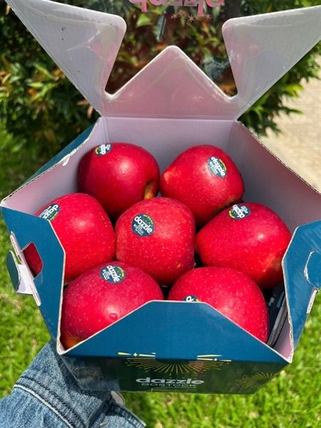 Táo Dazzle Cao Cấp Hộp VIP- Hộp 1,5kg