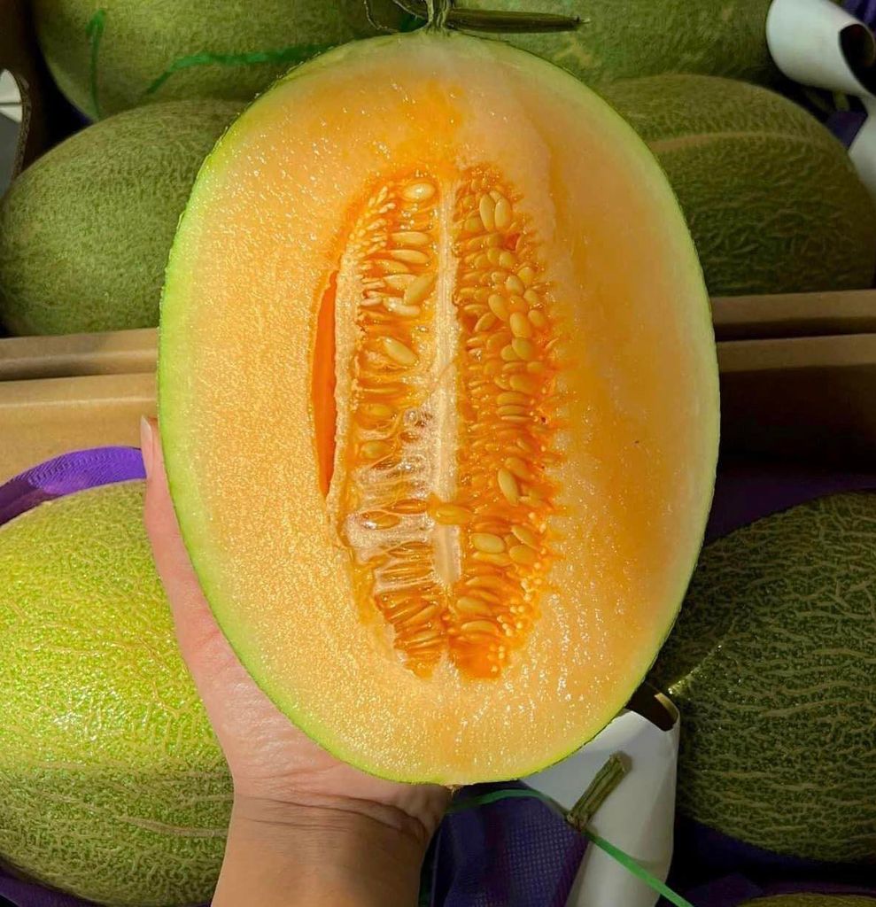 Dưa Lưới Đài Loan - Kg