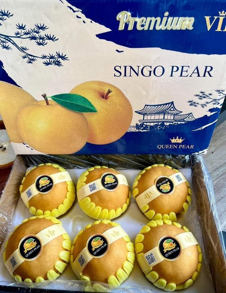 Lê Nâu Hàn Quốc VIP